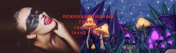 амф Тавда