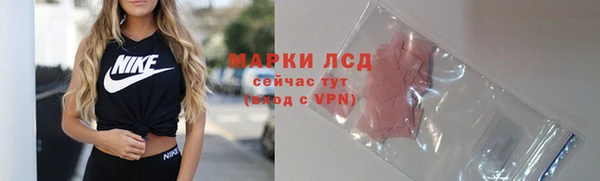 амф Тавда