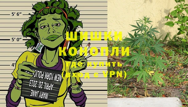 амф Тавда