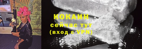 амф Тавда